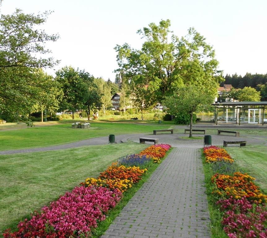 Premium-Ferienwohnungen Bergblick Im Haus Hopfe Goslar Bagian luar foto