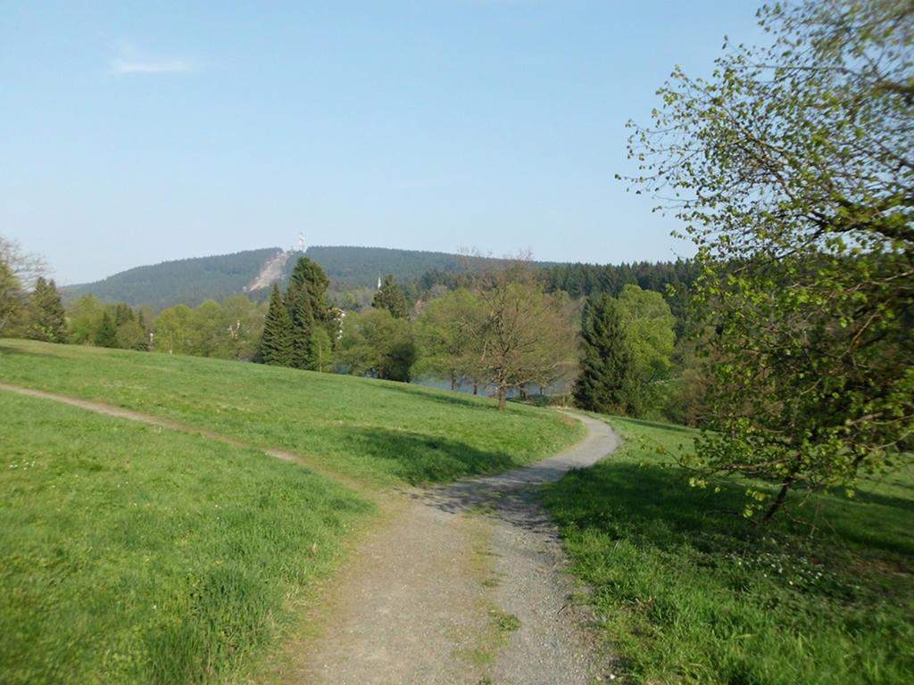 Premium-Ferienwohnungen Bergblick Im Haus Hopfe Goslar Bagian luar foto