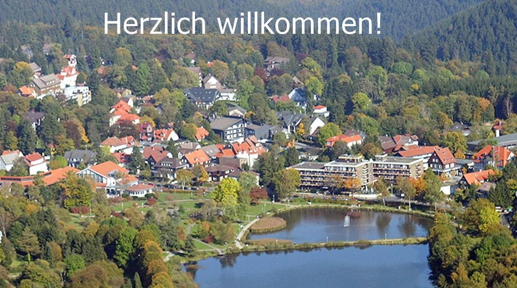 Premium-Ferienwohnungen Bergblick Im Haus Hopfe Goslar Bagian luar foto